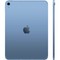 Планшет Apple iPad 11” (2025) 128GB Wi-Fi + Cellular Blue - фото 18515