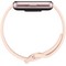Фитнес-браслет Samsung Galaxy Fit3 Pink Gold - фото 22015