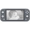 Игровая консоль Nintendo Switch Lite Gray - фото 24147