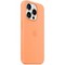 Чехол Apple iPhone 15 Pro Silicone Case with MagSafe - Orange Sorbet - фото 25209