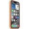 Чехол Apple iPhone 15 Pro Silicone Case with MagSafe - Orange Sorbet - фото 25210