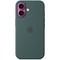 Чехол Apple iPhone 16 Silicone Case with MagSafe – Lake Green - фото 25393