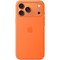 Чехол Apple iPhone 17 Silicone Case with MagSafe Light Moss - фото 25685