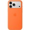 Чехол Apple iPhone 17 Silicone Case with MagSafe Light Moss - фото 25686