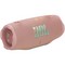 Портативная акустика JBL Charge 6 Pink - фото 25936